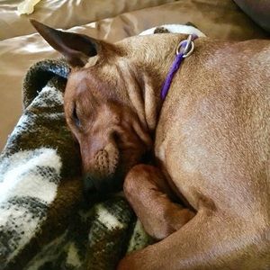 Meet your Posher, Madison